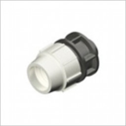 Plasson 20mm x 3/4 MI Adaptor 7020C20